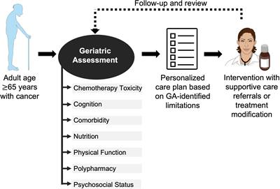 Geriatric assessment in the older adult with genitourinary cancer: A narrative review